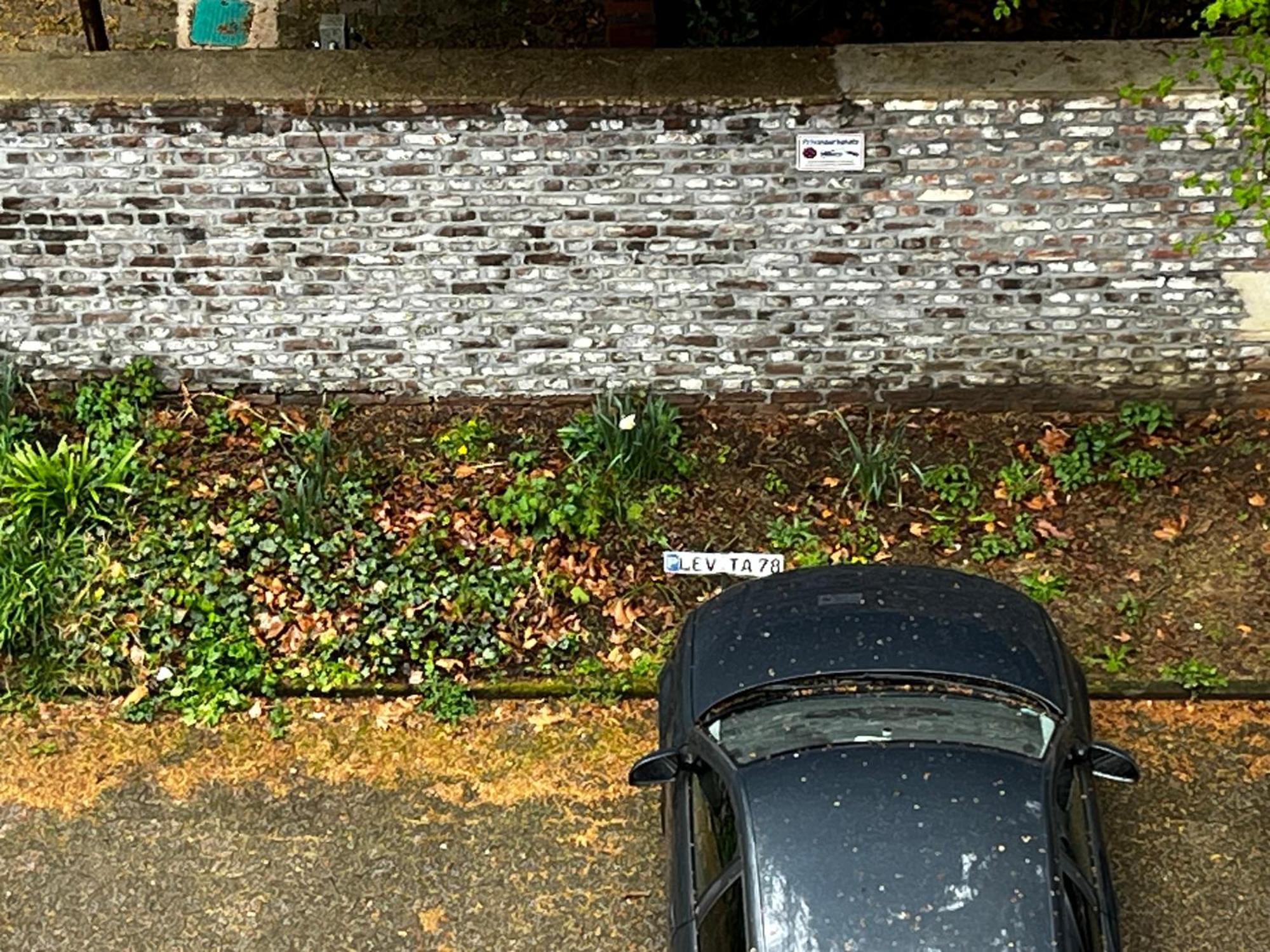 Gemuetliche, Ganze Wohnung In Ruhiger, Zentraler Lage Leverkusen Esterno foto